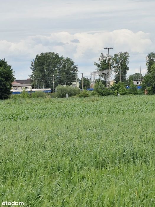 Duża Działka przy Pętli Miejskiej