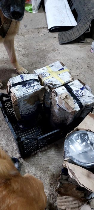 Поршнєва група д240