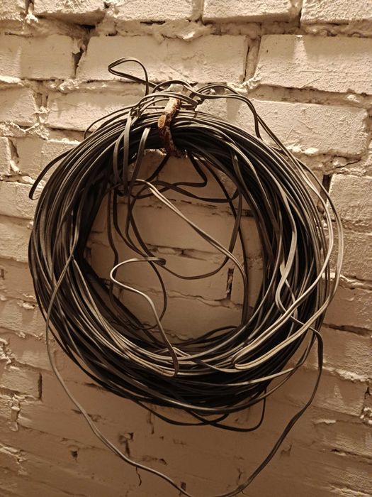 Провід (кабель) електричний двужильний сталево-алюмінієвий 2*1