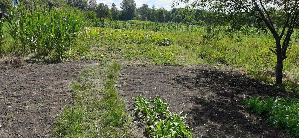 Будинок гарне розташування с.Красна Лука