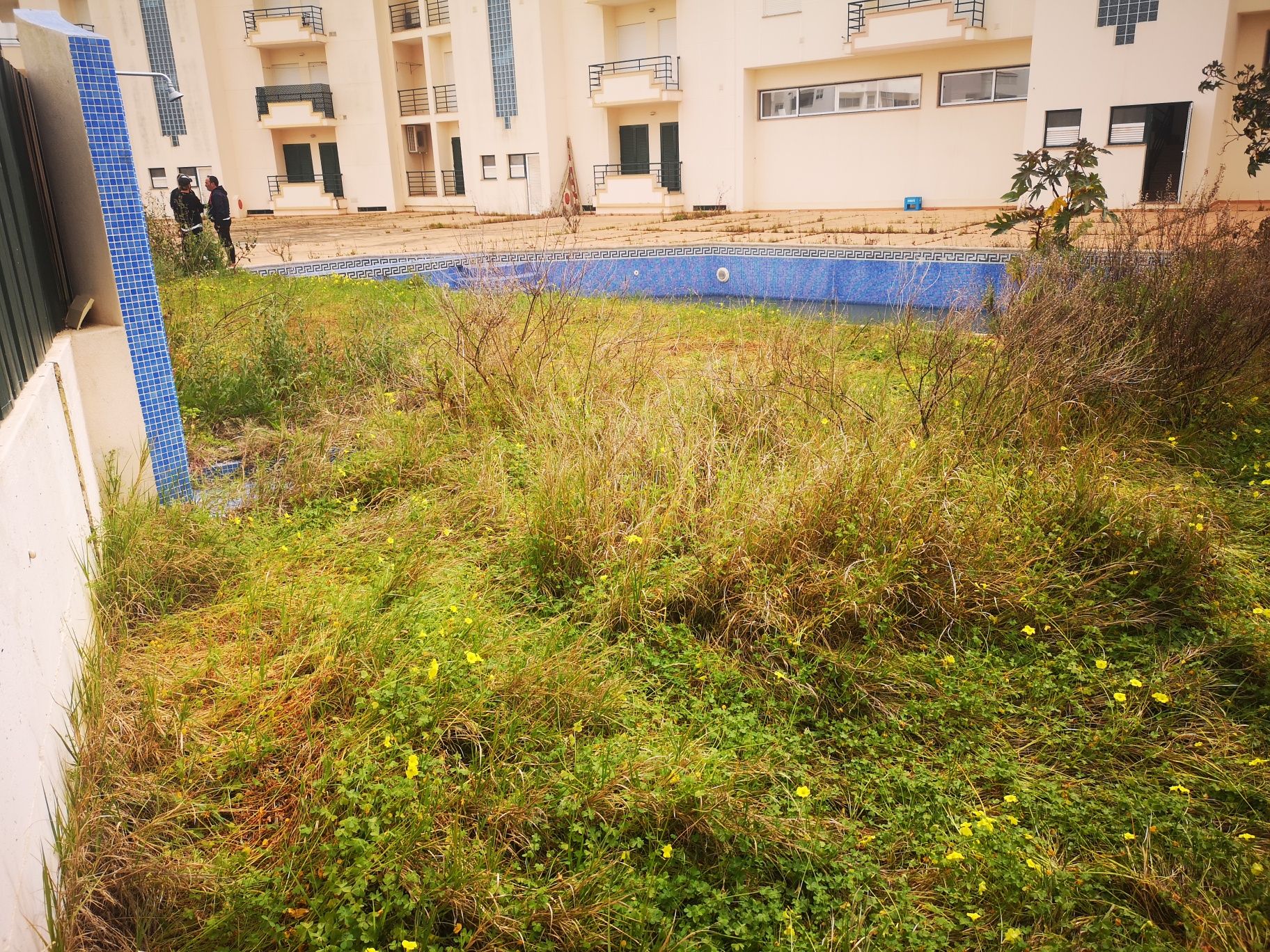 Terreno com Piscina e Logradoro em Armação de Pêra