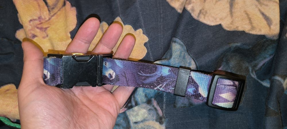 Obroża dla psa kettu