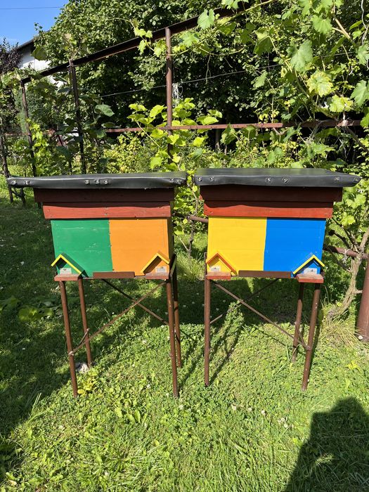 Uliki weselne ule pszczoły