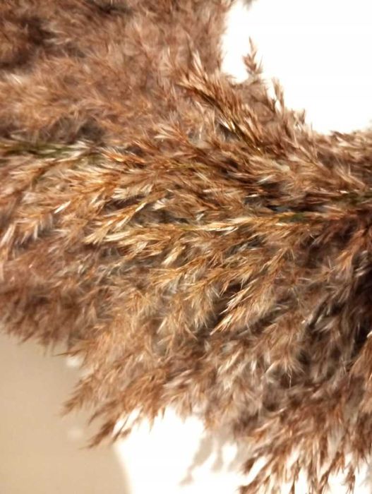 Wianek w stylu boho pampas naturalny puszysty z traw na drzwi susz EKO