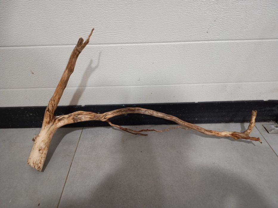 Długi, ciekawy naturalny korzeń do akwarium