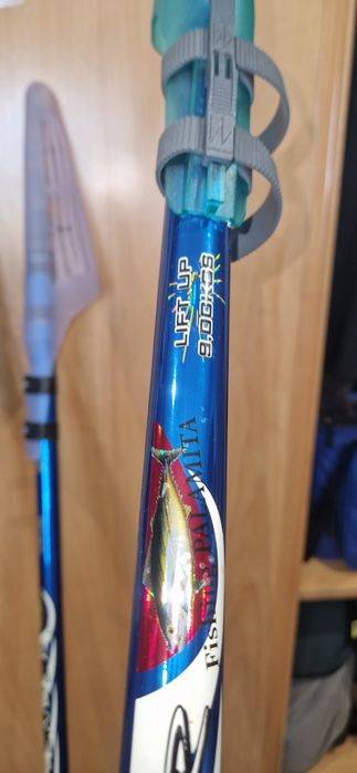 Canas de pesca embarcada