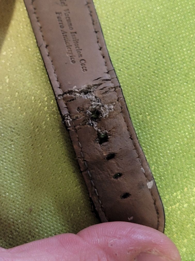 Zegarek Aztorin A031.G106