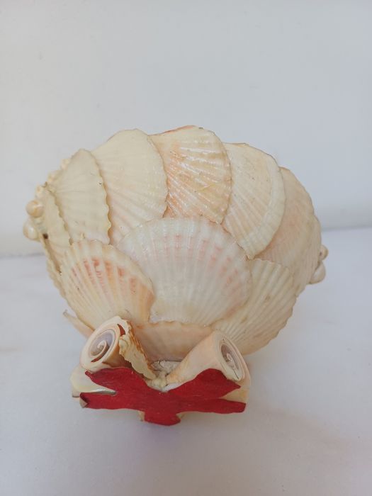 Cesto feito de conchas e búzios