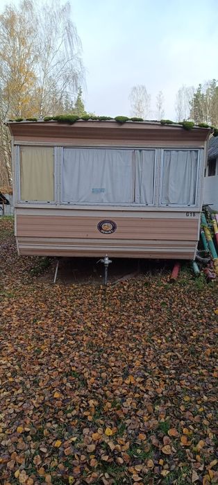 Sprzedam  holenderkę