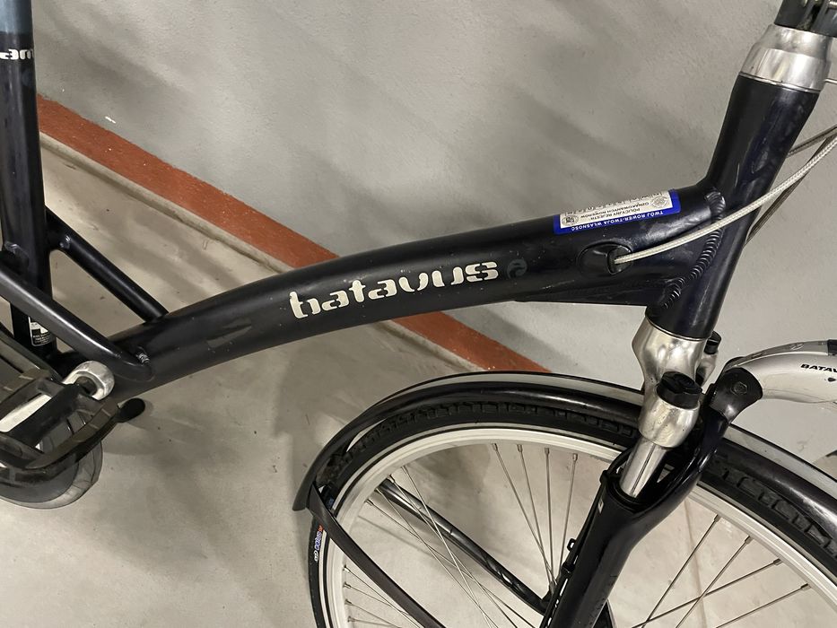 Batavus Mambo 7 rama 50 (160-170cm)