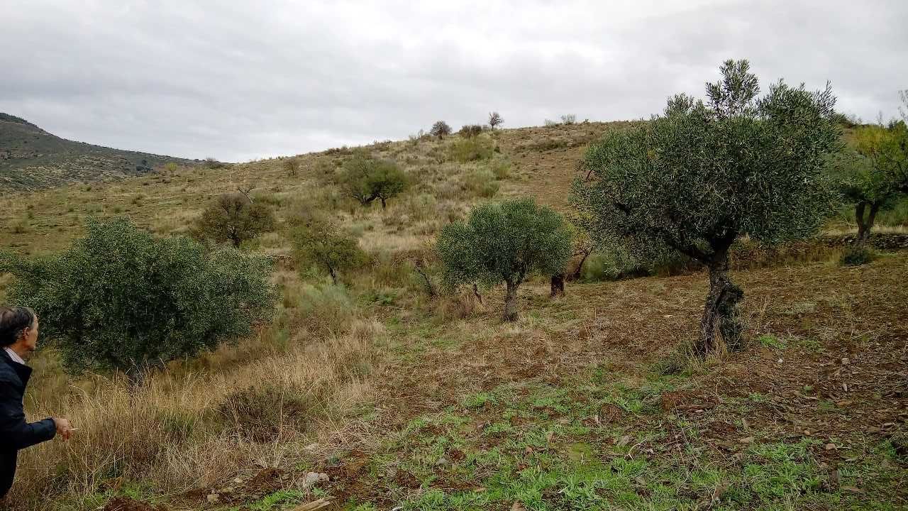 Terreno 15000m2 (1,5h)