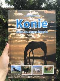 Konie Suita na cztery kopyta - książka dla dzieci Jolanta Reisch-Klose