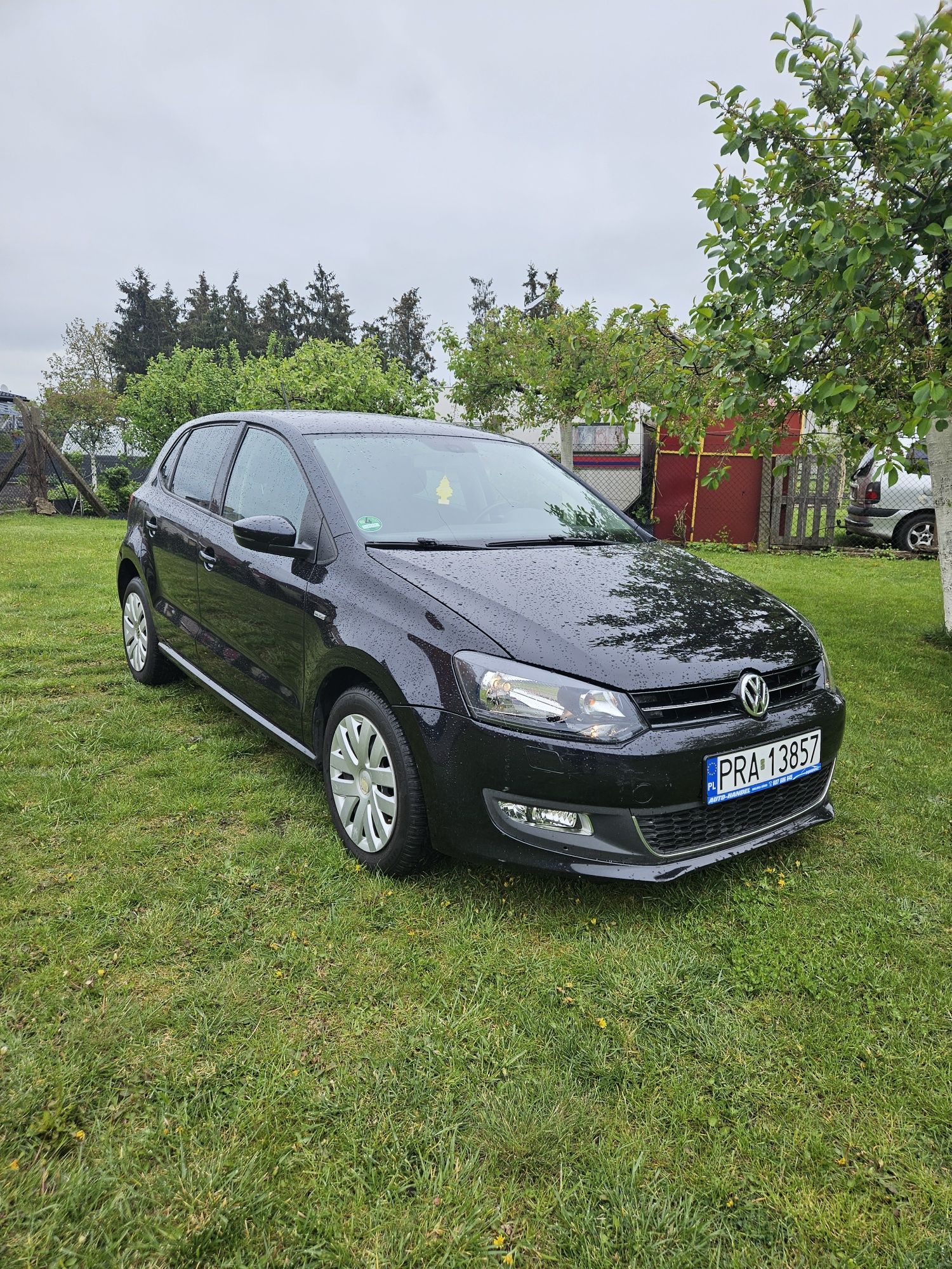 Volkswagena polo hatchback