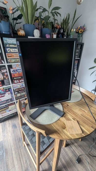 Monitor eizo flexscan s2100