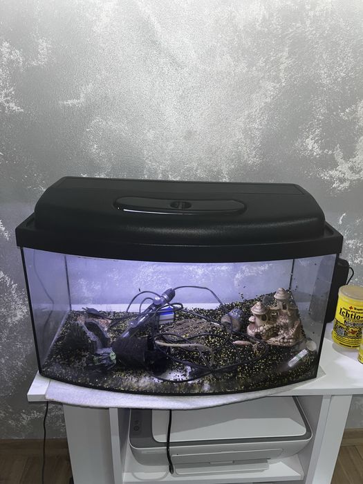 Akwarium 60l z wyposażeniem