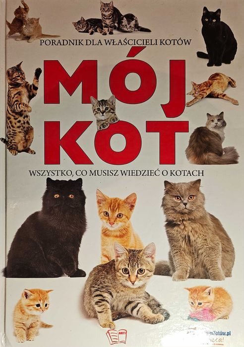 Książka Mój Kot poradnik dla właścicieli kotów