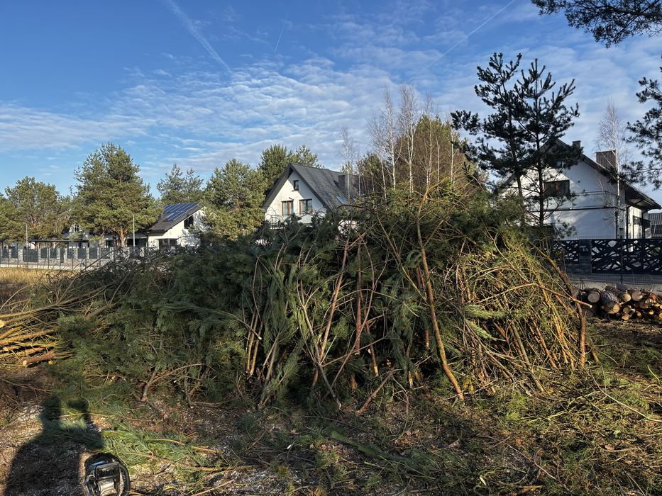 Drewno na opał, pelet, gałęzie oddam za darmo