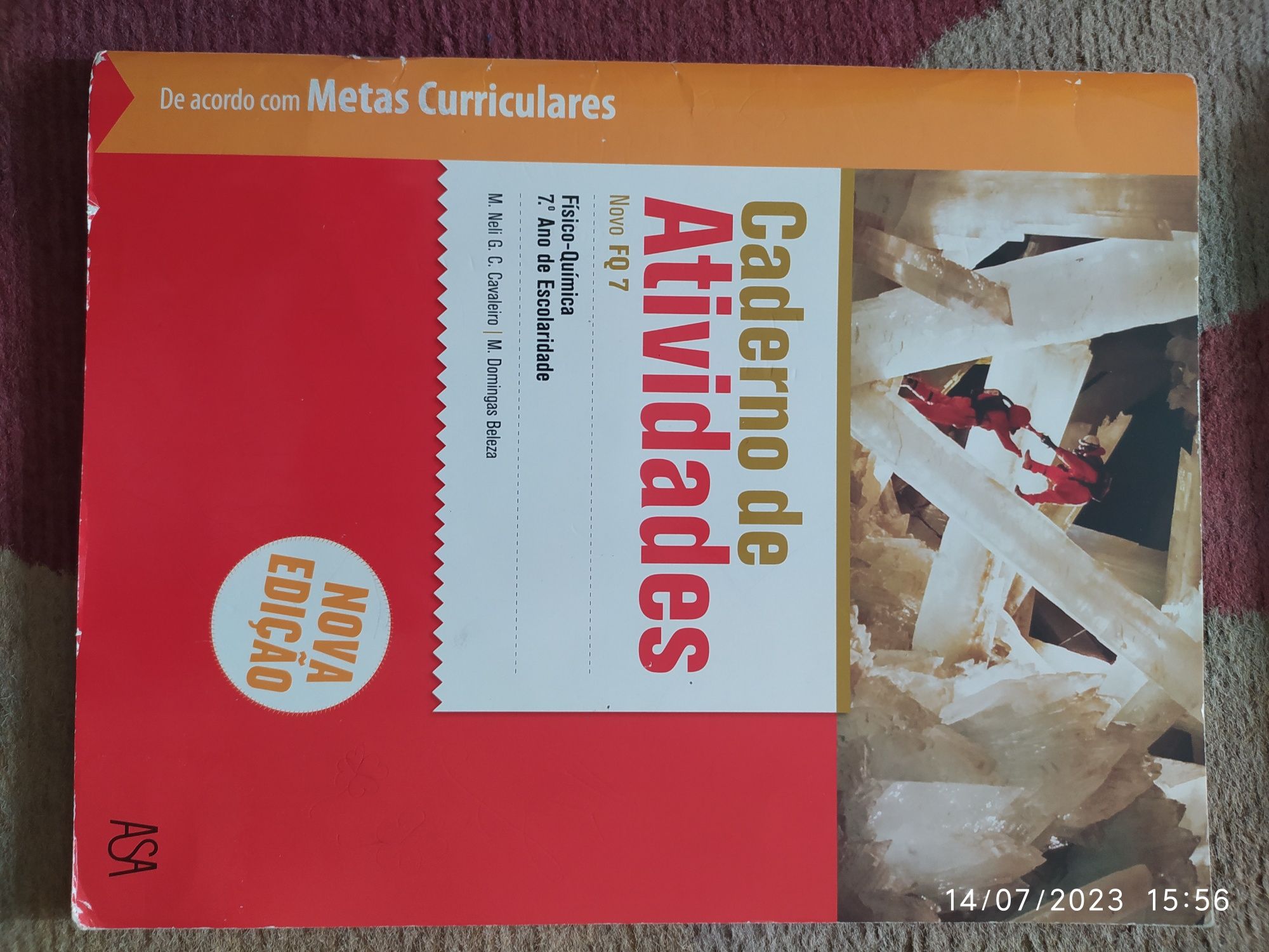 Livros de atividades 7*Ano