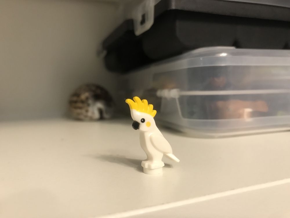 LEGO Ptak Papuga Kakadu Piraci Biały Żółty 6333pb01 pirates