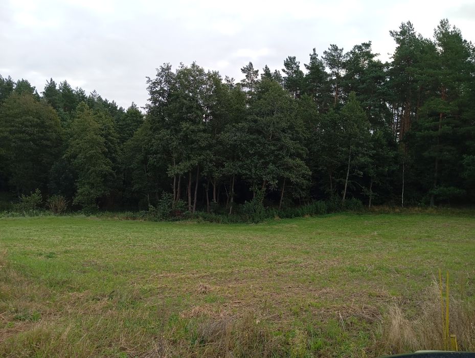 Sprzedam działke