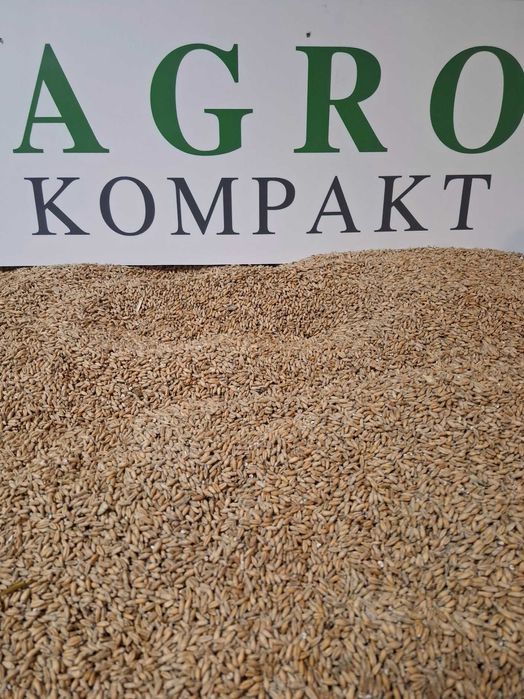 pszenżyto , śruta sojowa i rzepakowa, jęczmień , kukurydza , melasa