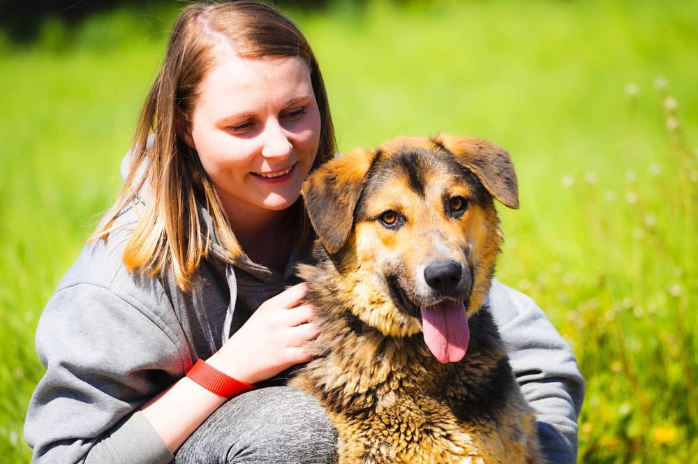 Dobosz radosny energiczny piesek