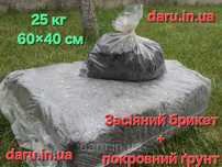 Печериці (шампиньон)готовий засіяний блок з покровним грунтом
