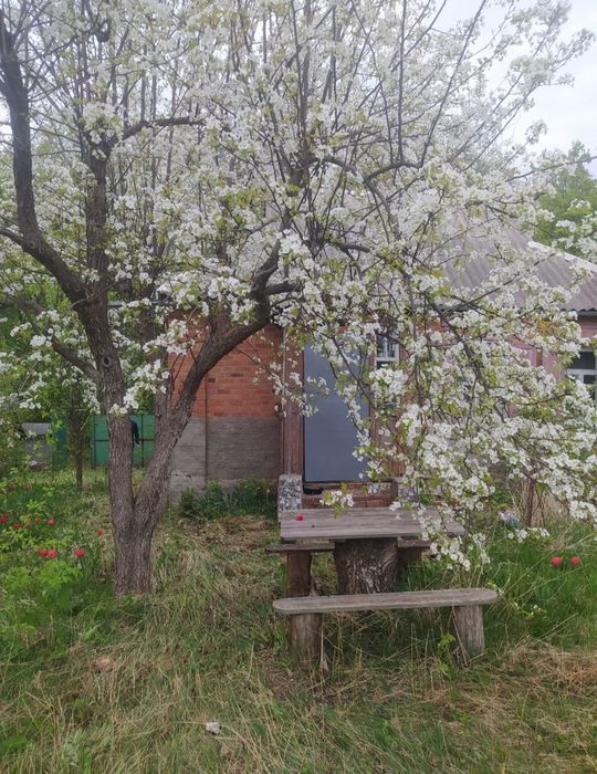 Продам дом в Солоницевском Отг (П.Безруки)