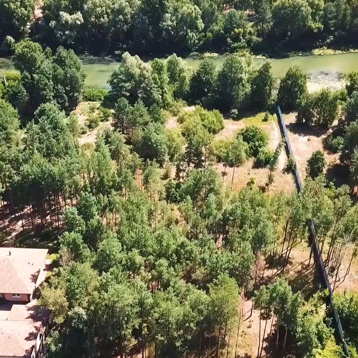 Участок 78 соток, обводной канал, Киевское море, сосновый лес