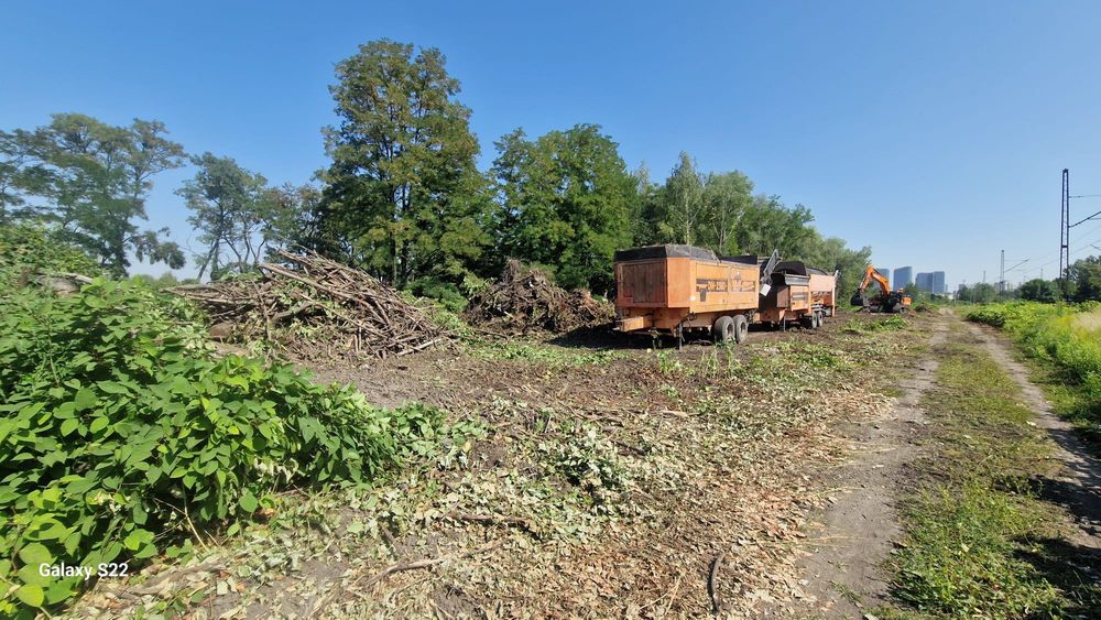 Mielenie korzeni ,palet ,odpadów zielonych , karczowanie terenów