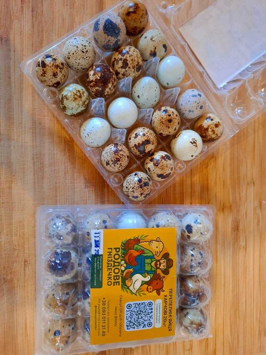 Фермерські (домашні) перепелині яйця