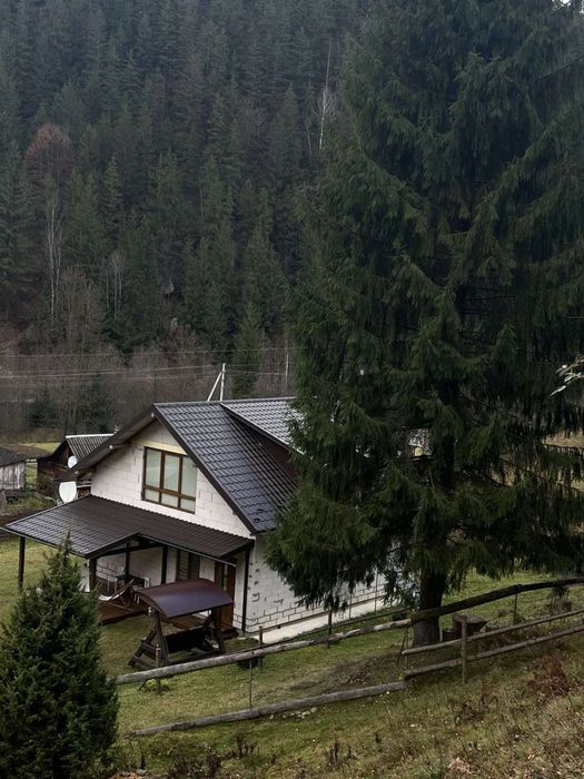 Відпочинок у Карпатах котедж садиба під лісом Оренда житла