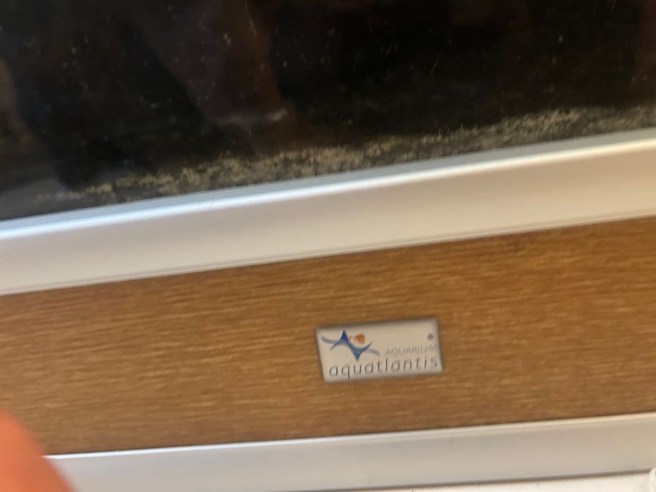 Aquário parede Acquatlantis