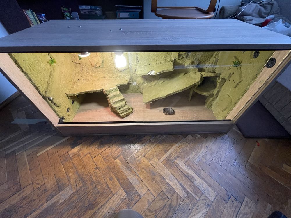 Terrarium 120x50x60