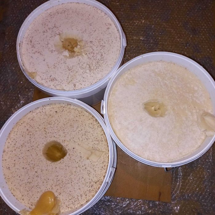 Miody  wielokwiatowe, lipowo-spadźiowe w wiadrach 10 l.