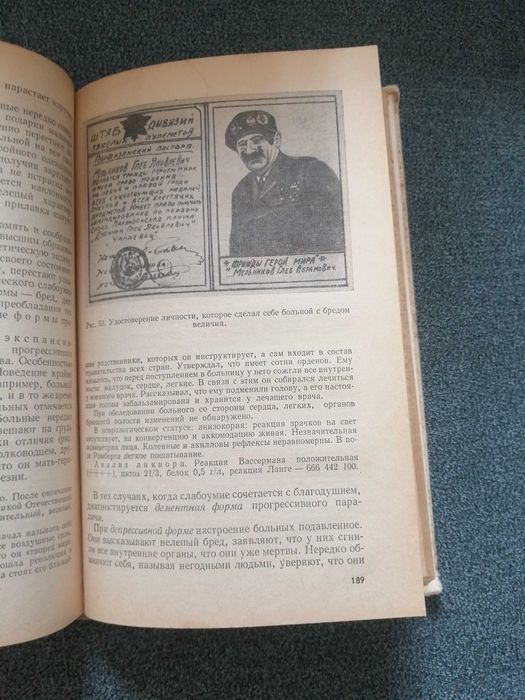 Г. Морозов, В. Ромасенко "Нервные и психические болезни"