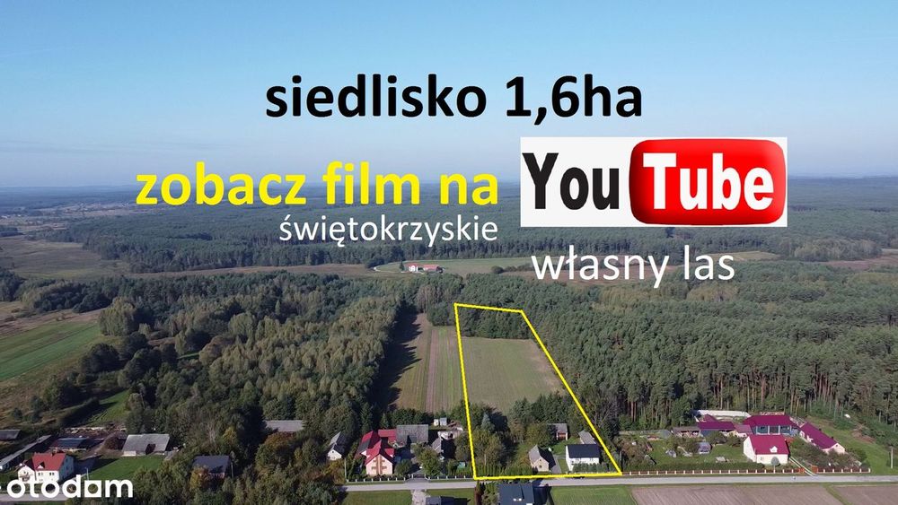 siedlisko z własnym lasem szerokość 54m !!! idealne pod konie
