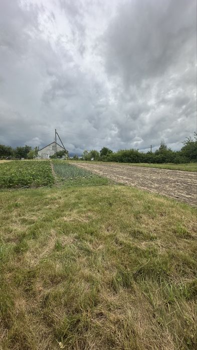 Продаж земельних ділянок  в с.Хоросно  (під будівниктво та с/г)