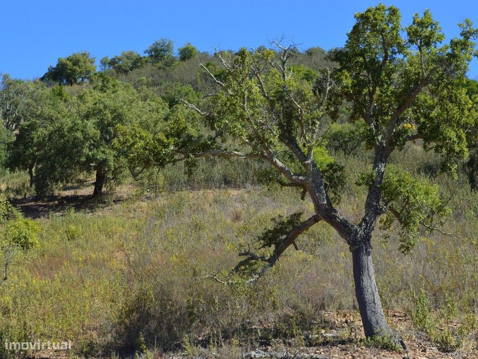 terreno Rustico, Loulé Algarve