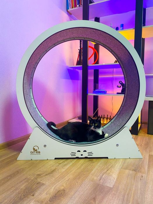 Бігове колесо для кота | Тренажер для кота