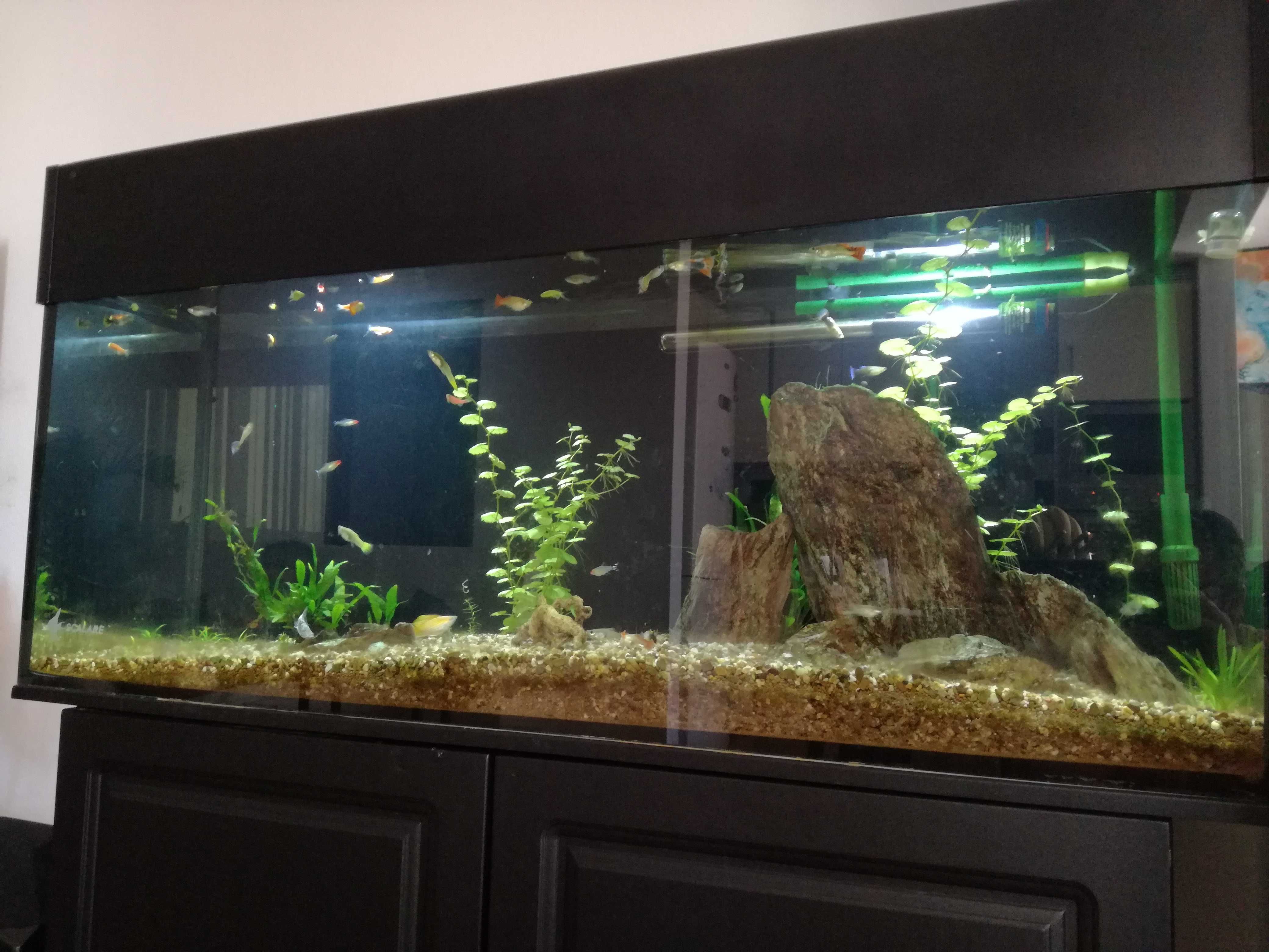 Vendo aquário 1200x500x400mm