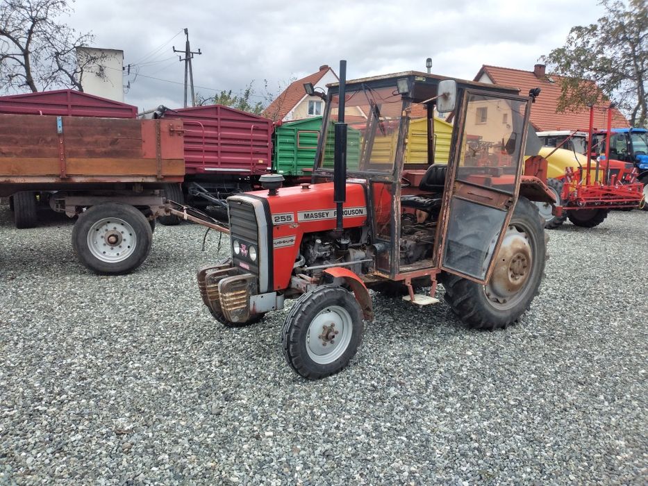 Massey Ferguson 255 Oryginal! Jeden właściciel! Bardzo Dobry stan!