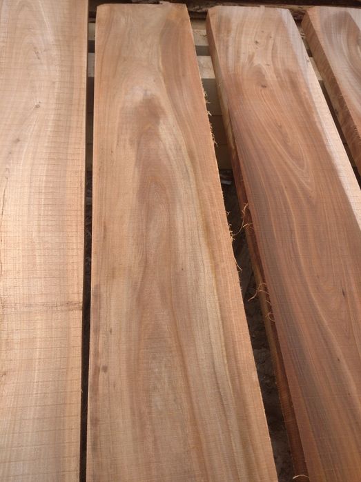 Дошка берест продам