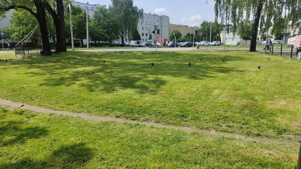 Wynajme plac/działkę w centrum Wyszkowa ul. Pultuska/11 listopada