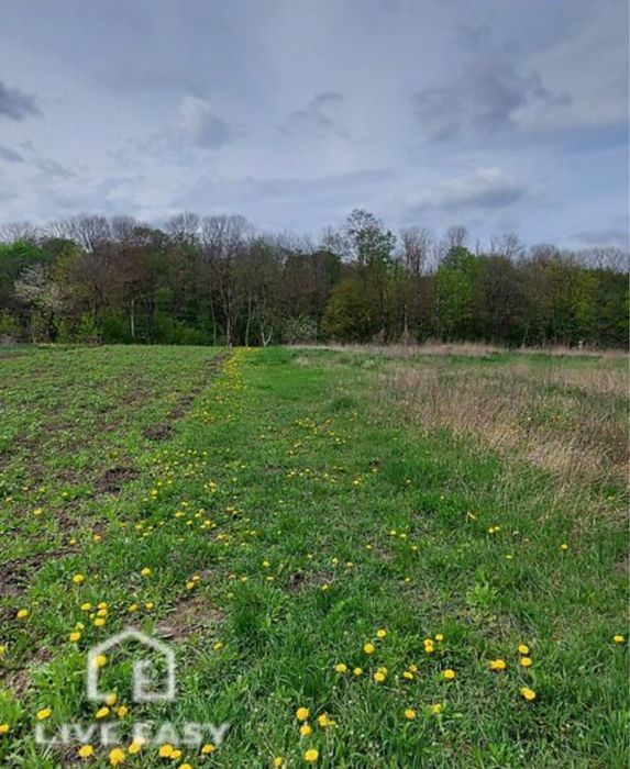 Продаж земельної ділянки в с. Велика Березовиця