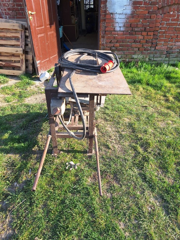 Krajzega piła stołowa