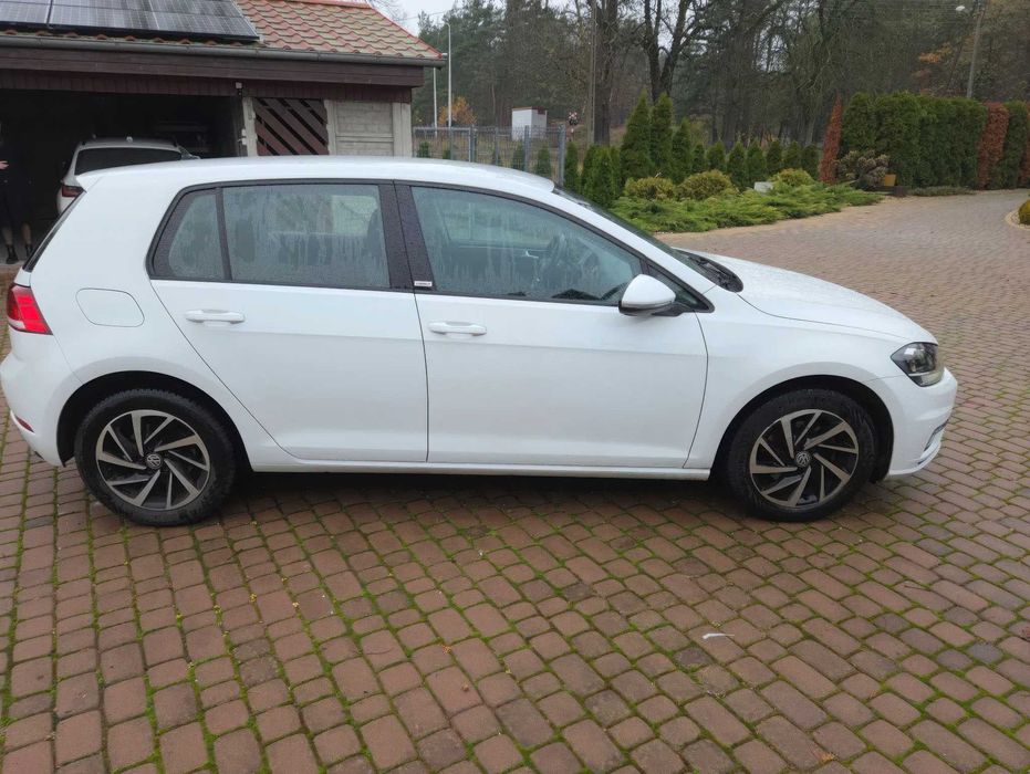 2019 Volkswagen Golf 1.6 TDI (BlueMotion Technology) DSG Comfortline