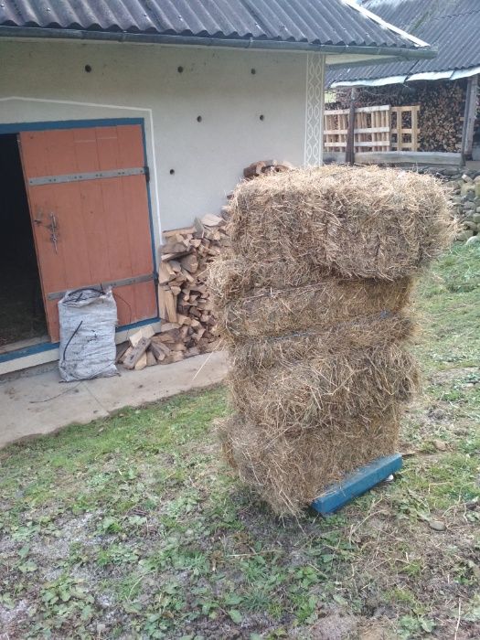 Сіно тюки городнє зелене домашнє 2025