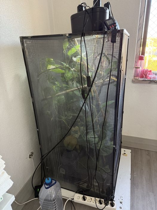 Terrário 1,22cm para camaleão com base com rodas