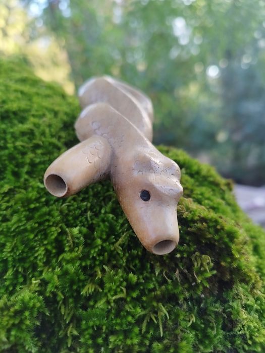 Kuripe Jiboia, aplicador de Rapé